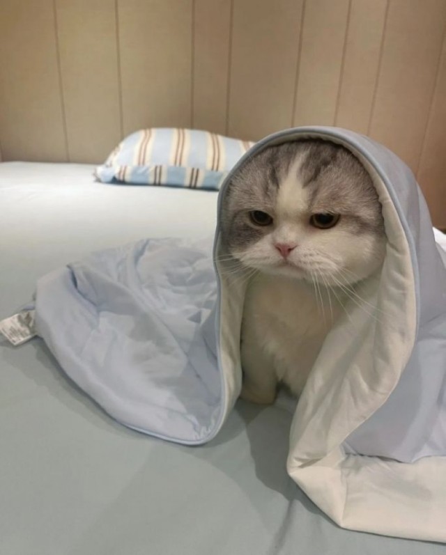 Картиночки на поднедельник