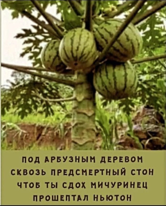 Субботние картинки