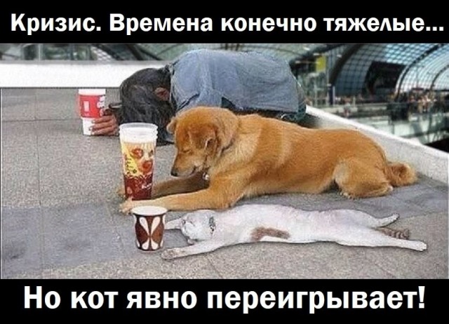 Что хорошего произошло в жизни ЯПовчан в 2025 году?