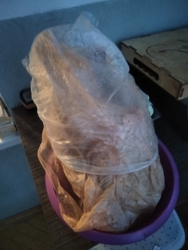 Новый год. Гусь