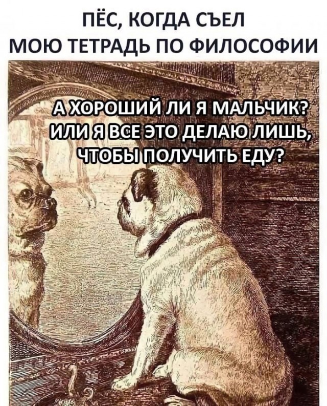 Веселые картинки в пятницу (20.02)