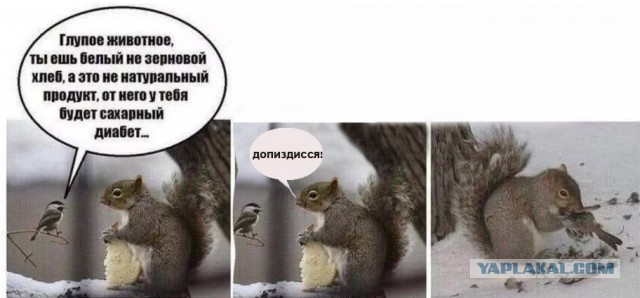 Картинки для деградации 153 (разной степени свежести)