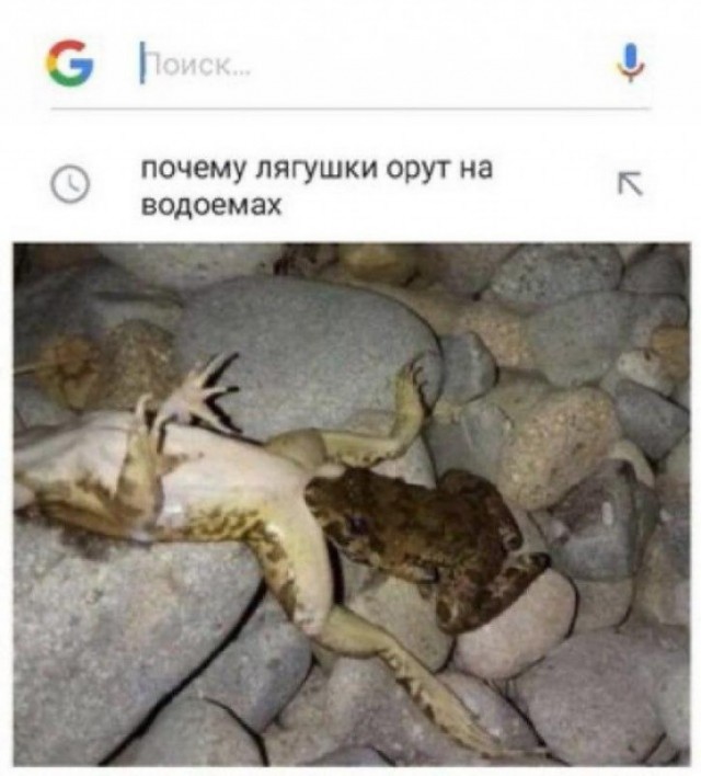 Картинки для деградации 154 (разной степени свежести)
