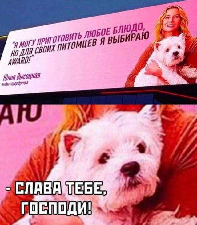 Веселое настроение а картинках (18.03.2026)