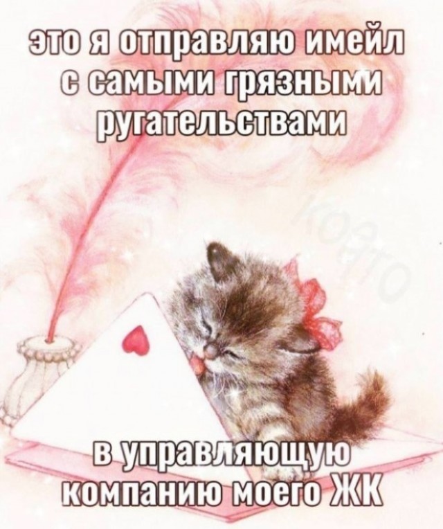 Картинки