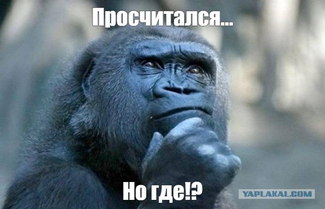 Религия денег: кто внушил нам, что безделье — это грех, и почему мы "урабатываемся" до смерти