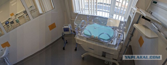 Приглашаем рожать в Россию!