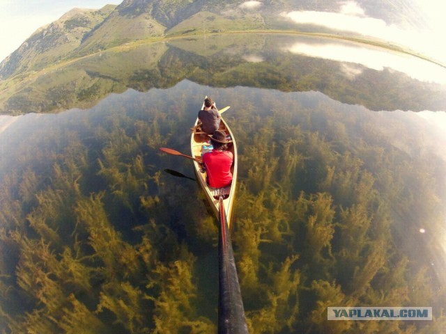 28 самых удачных кадров февраля