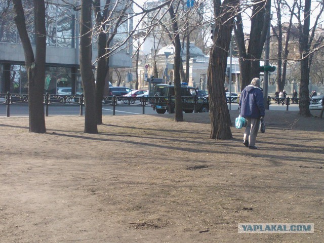 Мариинский парк и ул. Грушевского 26.02.14