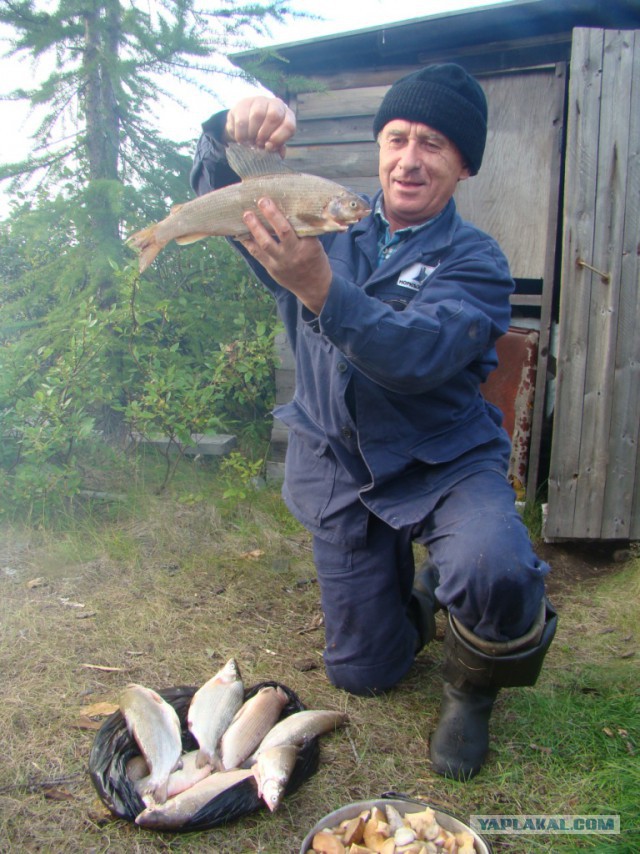 Север далекий, суровый и красивый