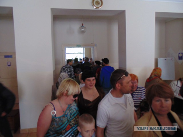 Подборка фото с референдума