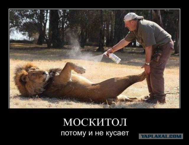 Демотиваторов пост, добавляйте свои