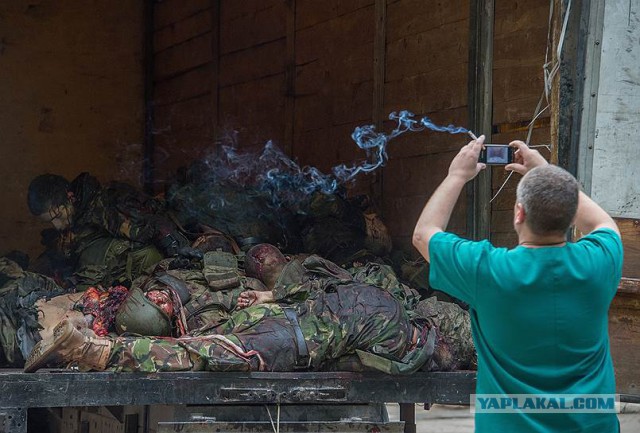 Полгода войны в Украине