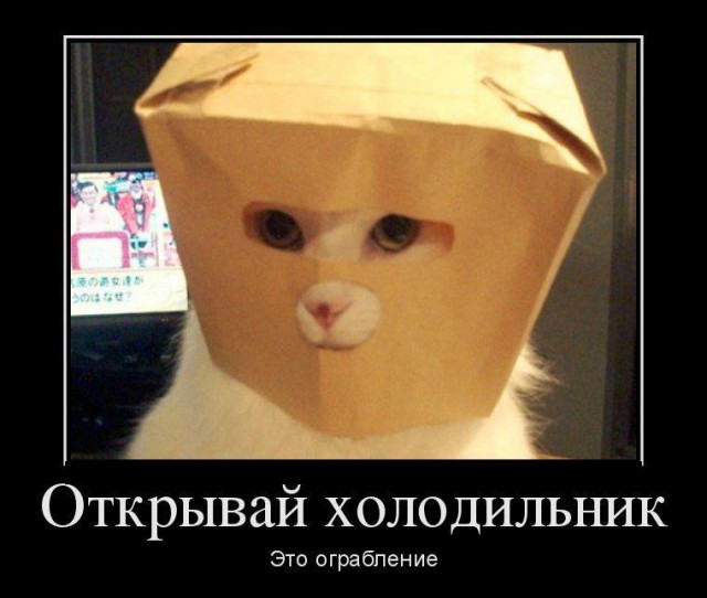 Демотиваторы.