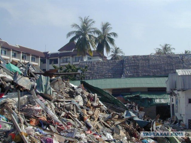 10 лет спустя цунами: фото восстановления Индонези