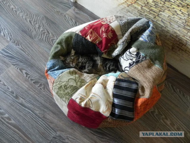 Котовторник 30.12.2014