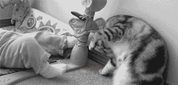 Баю-баюшки-баю