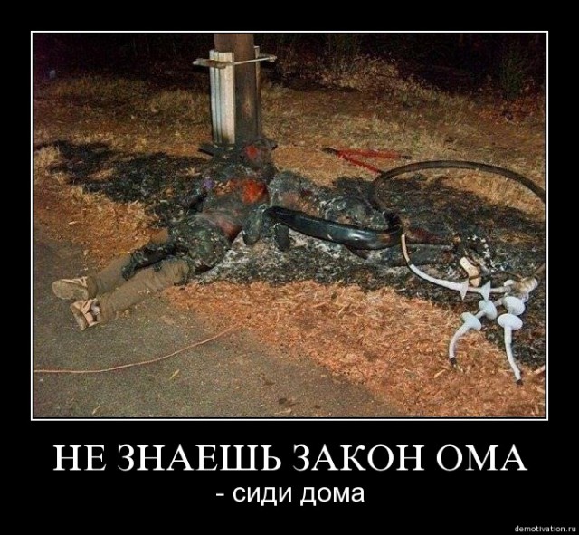 Уголок подонка и белый лебедь