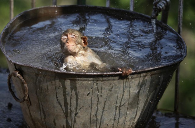 Когда кто-то плюсует твой заминусованый пост