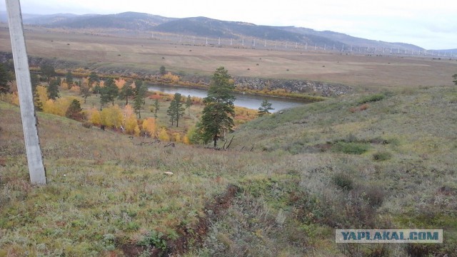 Правильной пятницы псто