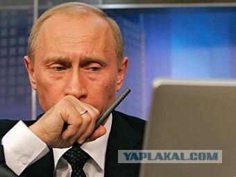 Путина попросили не запрещать Невинность мусульман