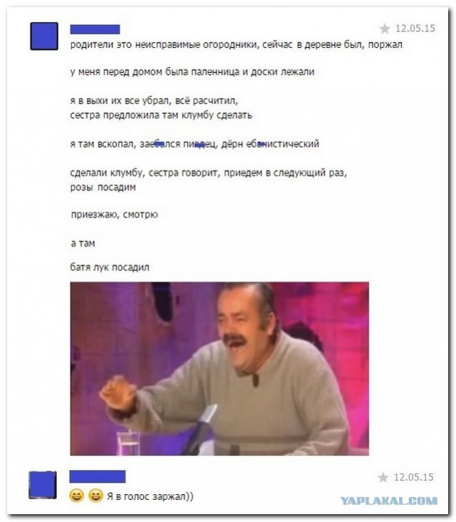 Смешные комментарии из социальных сетей