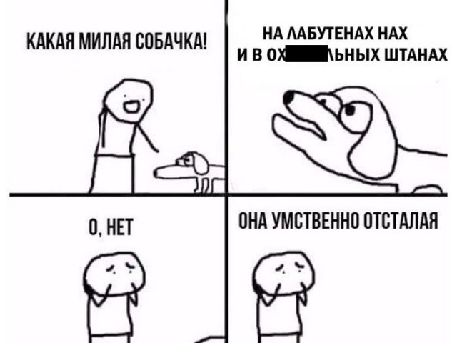 Прикольные картинки