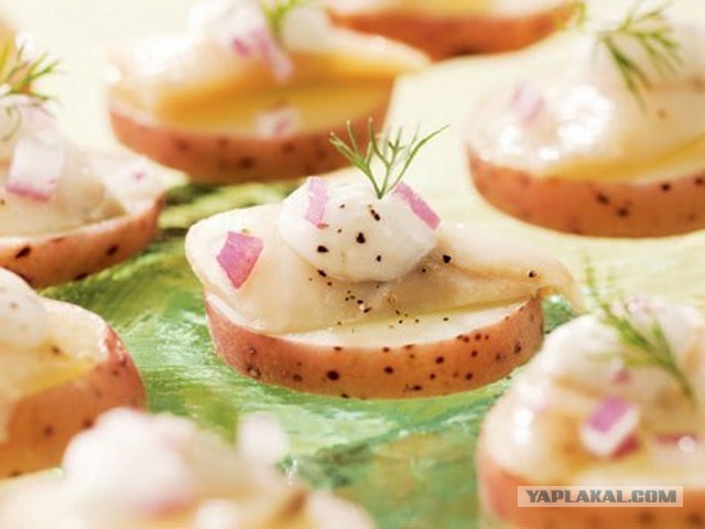 Сельдь. Идеи для закуски