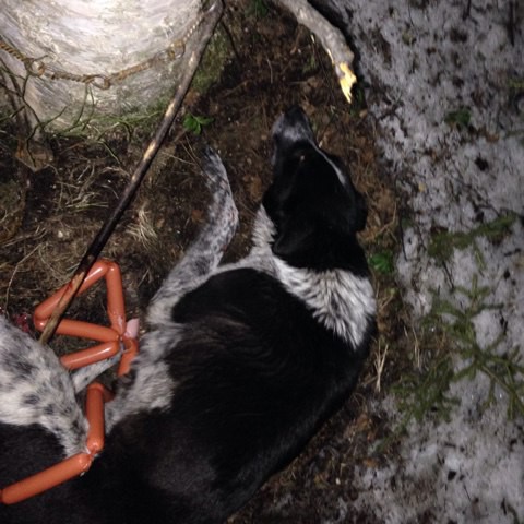 В капкане...