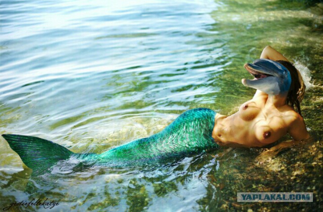 Поэтому моряки видят русалок﻿?