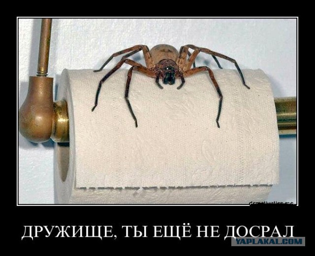 Выйдешь в поле, сядешь ср@ть - далеко тебя видать...