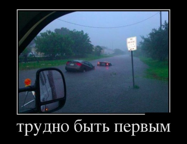 Картинки и приколы из сети