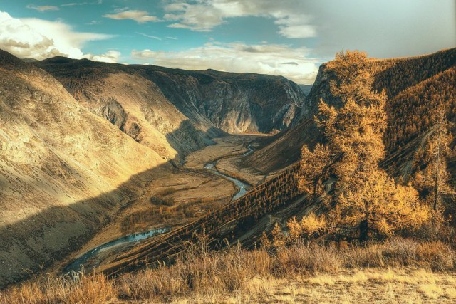Порция картинок
