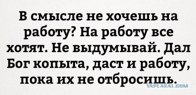 Подборка смешных картинок