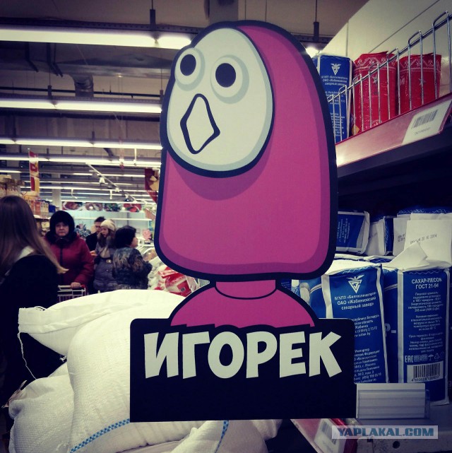 Олег, где макет? Это Игорь!