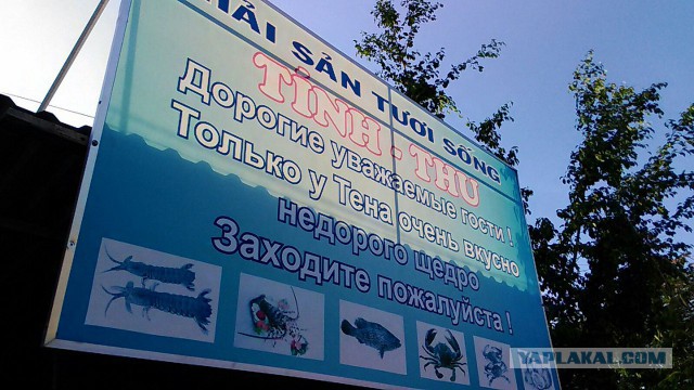 Объявления для русских туристов за границей