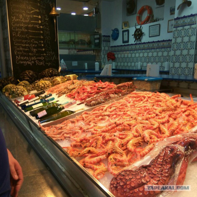 Настоящая Испания изнутри: на местный рынок за продуктами