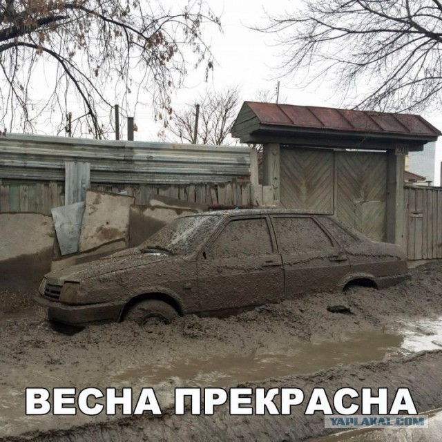 Смешные комментарии из социальных сетей 07.04.2017