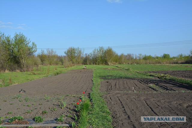 Америка давно травит русских биологическим оружием. Э.Сноуден