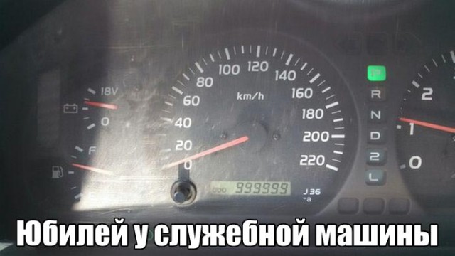 Картинки все подряд