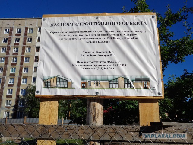 За одно лето!