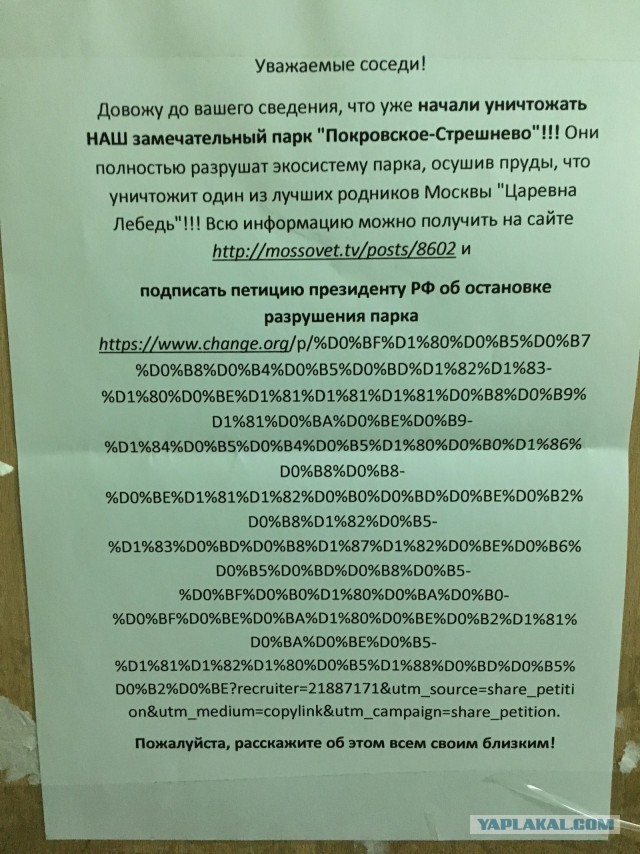 Смешные комментарии из социальных сетей 13.10.2017