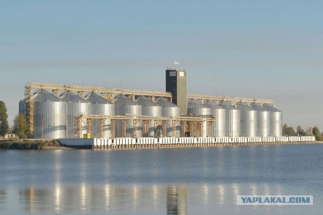 «Зерновой» прорыв России не даёт покоя западным конкурентам