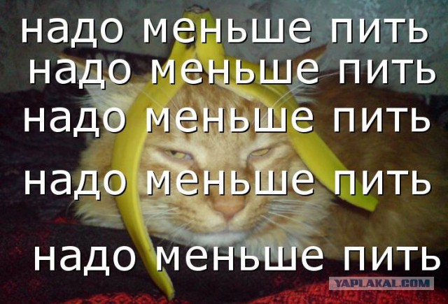 Студенческие пьянки и их последствия