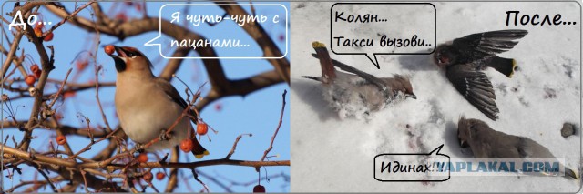 Подборка интересных и веселых картинок