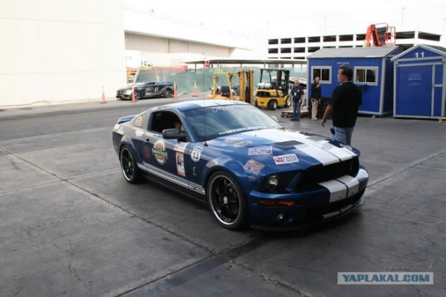 Sema Show 2008 (30 фото)