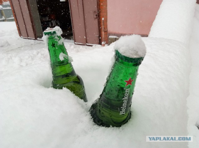 "Такова снегапада..."