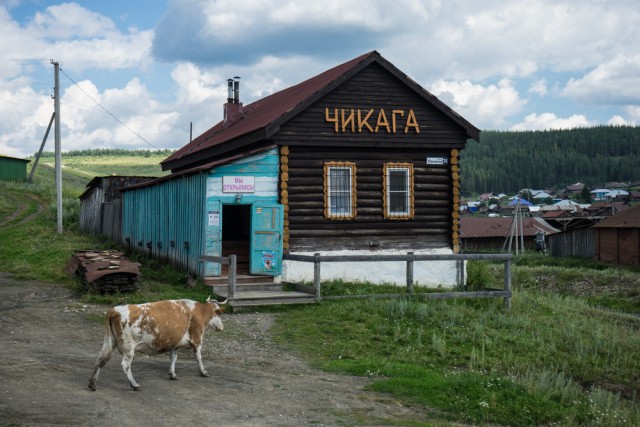 Подборка картинок. Забавных, прикольных - разных!