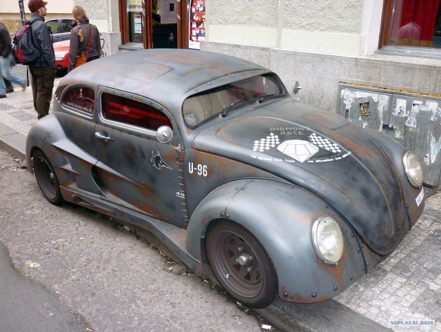 Жуки