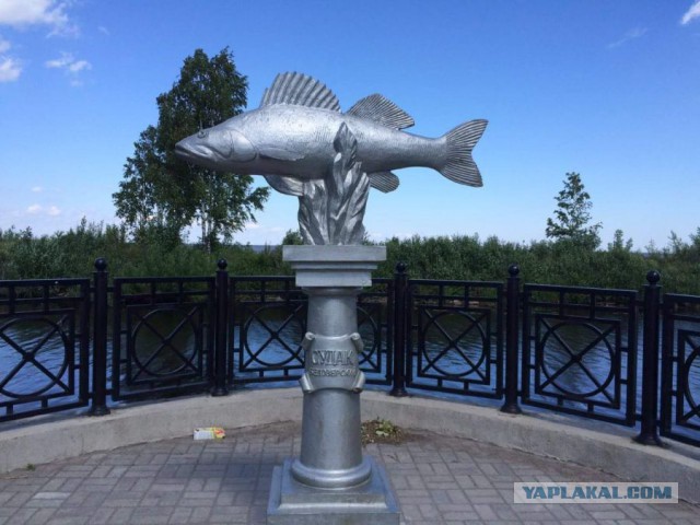 Прогулка на катерах Петербург-Москва.